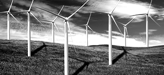 Sustainability Consulting